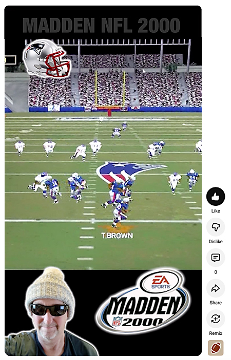 Madden NFL Troy Brown Patriots