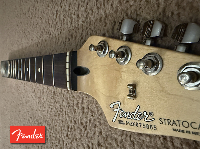 Fender MIM Rosewood Neck